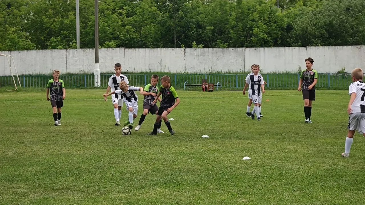 14.06.2024 Турнир по футболу Московской области среди детских команд 2014-2013 г.р.