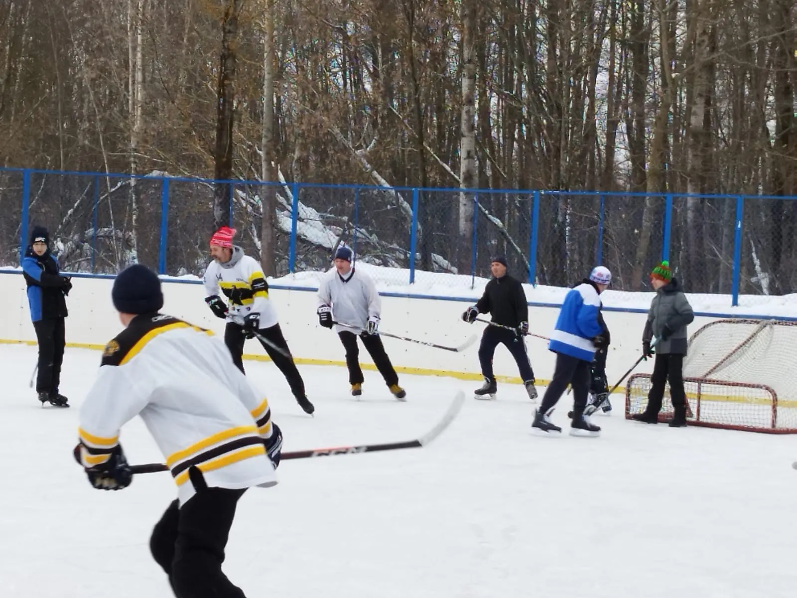 Турнир по хоккею с шайбой среди любительских команд 2024