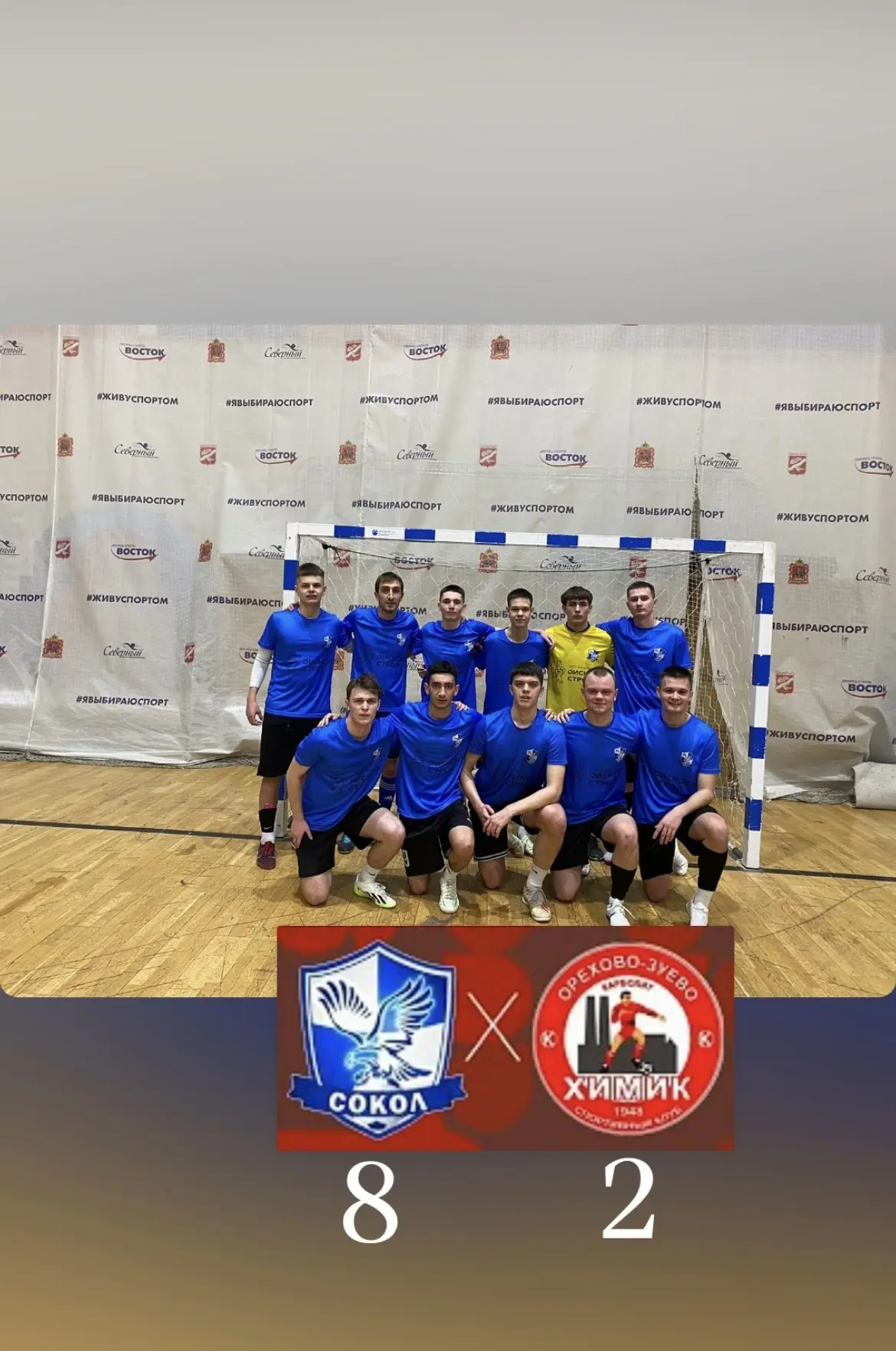 Мини-футбол Сокол-Химик 8:2